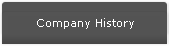 Company history