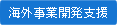 海外事業開発支援