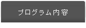 プログラム内容